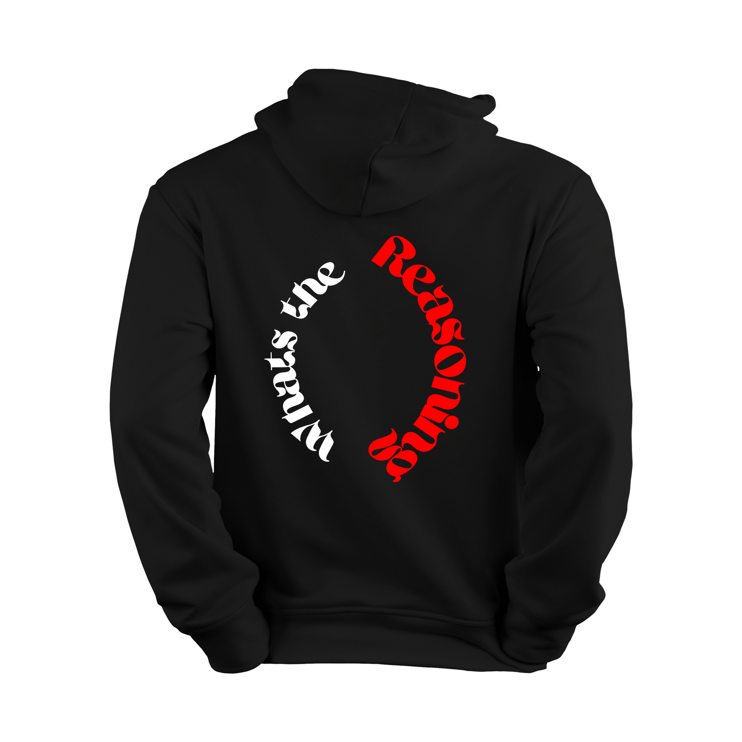 What's The Reasoning Circle Hoodie