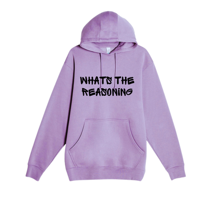 What's The Reasoning Classic Hoodie